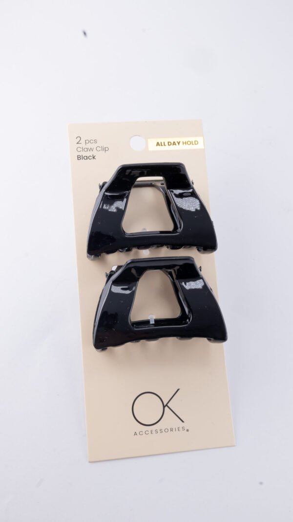 2pcs Claw Hair Clip Black